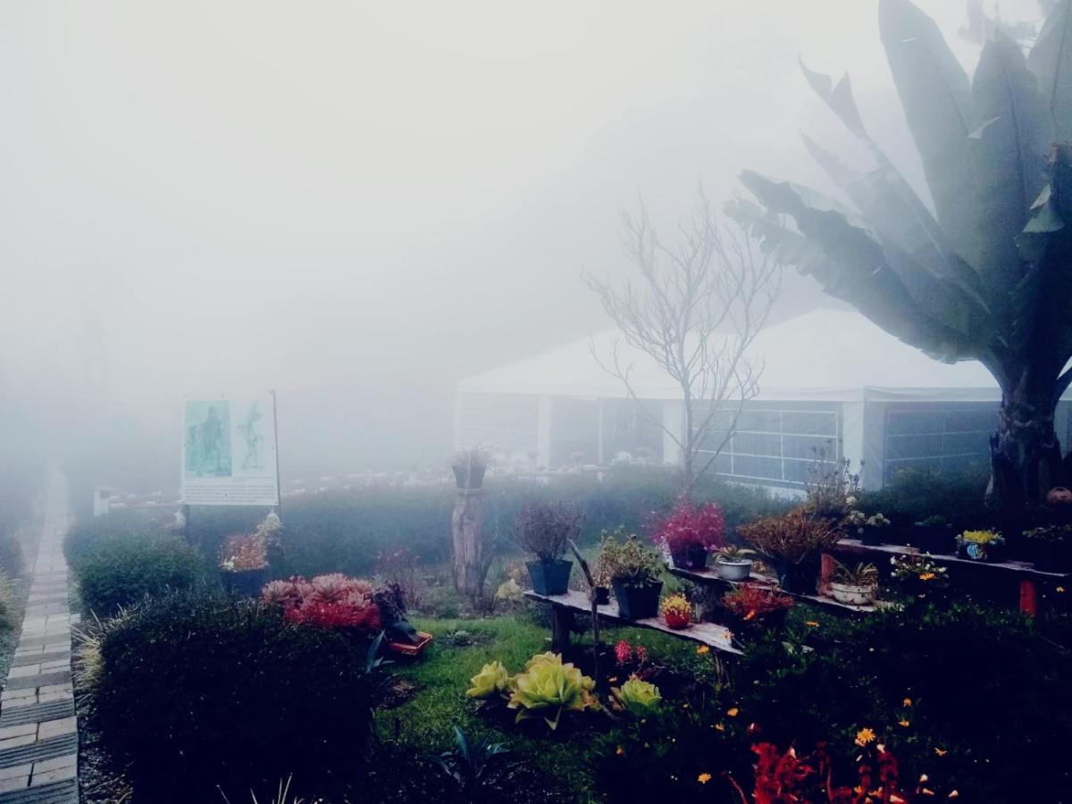 Santaelena -chalets De Montana- Chalet