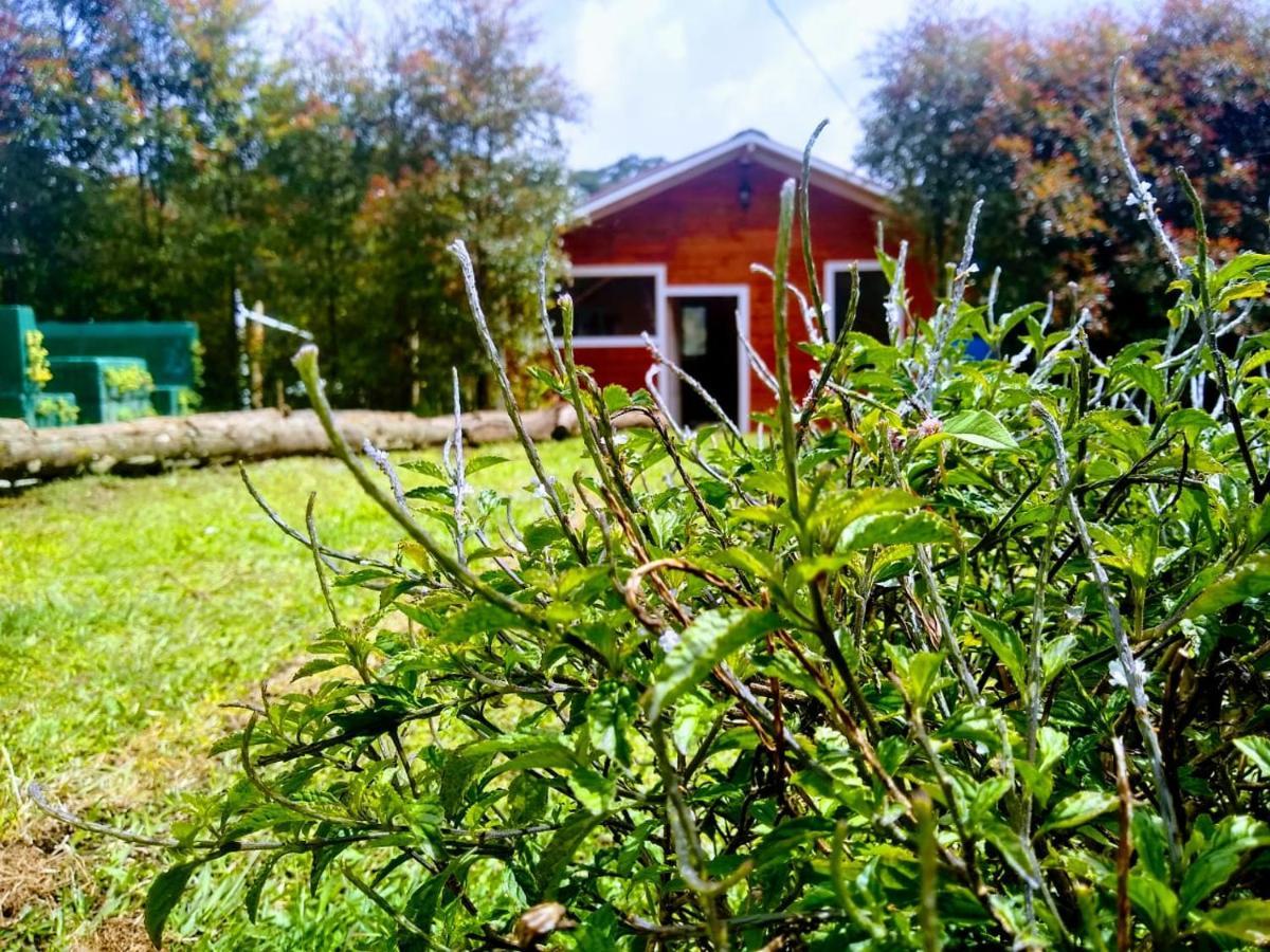 Chalet Santaelena -chalets De Montana-